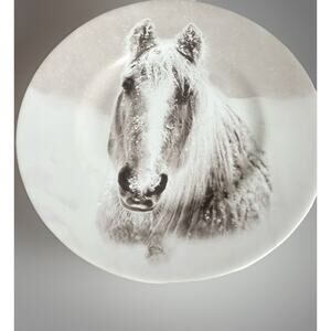 Pier 1 Snow Forest Accent Salad Dessert Plate 8.5/8” Equestrian Set Of 4